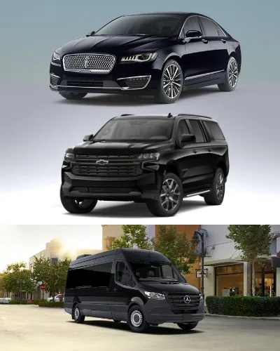 Night-Out Transportation from Coquitlam